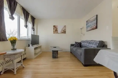 All Inclusive 1 Bedroom Furnished Apartment Near Downtown Image# 9