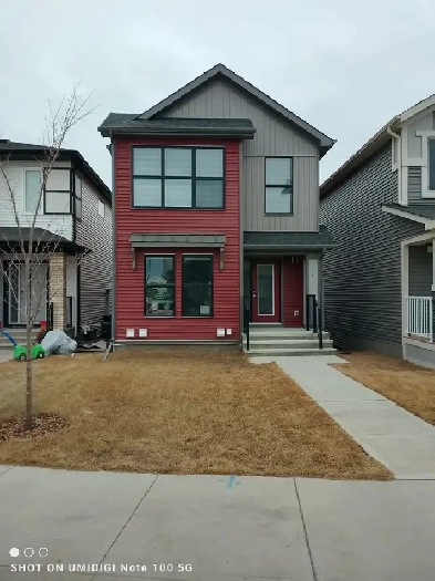 Room for Rent in Homestead, NE Calgary. New Basement Renovation Image# 1