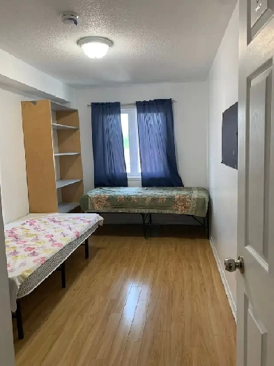 First floor room in sharing for rent, steps to Seneca@york $650. Image# 1