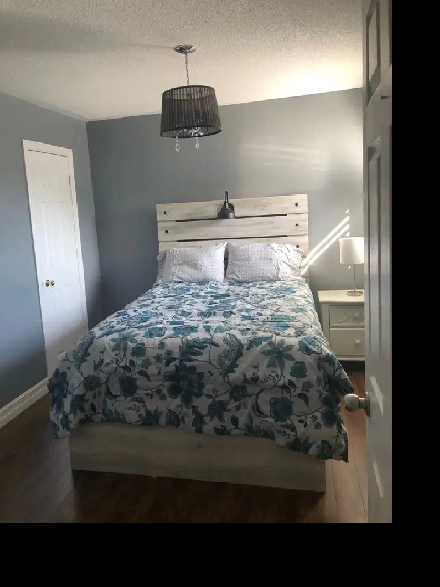 Shared Accomodation/Room for rent Image# 1