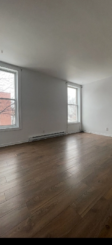 Grand 3 1/2 à Homa avec electros et internet au 2e étage Image# 1