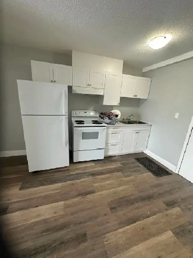 One Bedroom Available for March Minnow Lake Image# 8