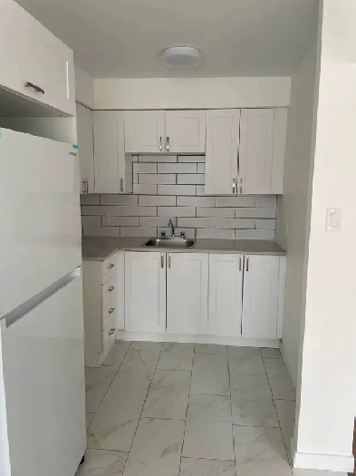 3.5 avec terrasse 1er avril! Image# 1