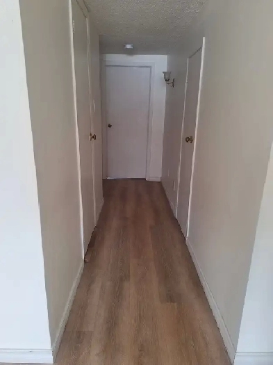 Basement for Rent from March 1 or February 2026 Scarborough,ON Image# 1