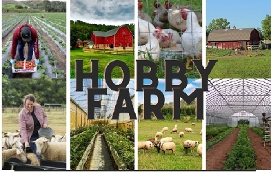 ARE YOU LOOKING FOR  A  HOBBY FARM OR A HOME ON ACREAGE ?
