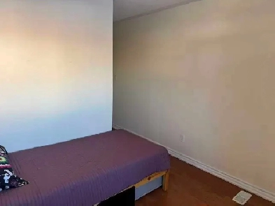 rooms for rent at York University village Image# 1