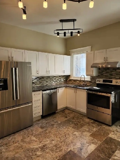 Large 3 bedroom renovated apartment available May 1st Image# 1