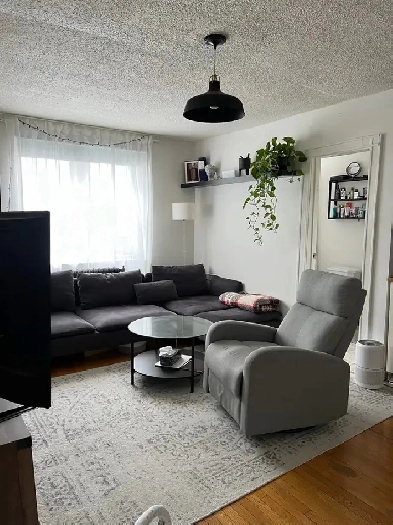 $1,650 1 BR BEACHES on Queen - not basement not house Image# 1