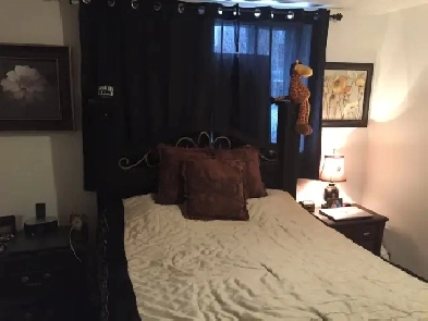 3 1/2 a louer rue Sauve , montreal Image# 1