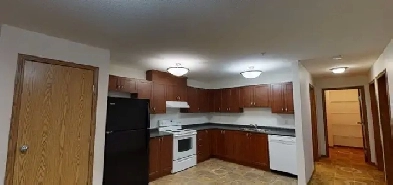 Roomate to share fully furnished two bedroom condo in Leduc. Image# 1