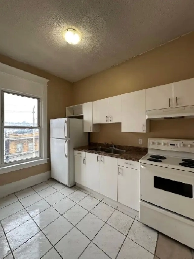 Pet Friendly Updated 1-Bedroom Apartment for rent in Hamilton Image# 1