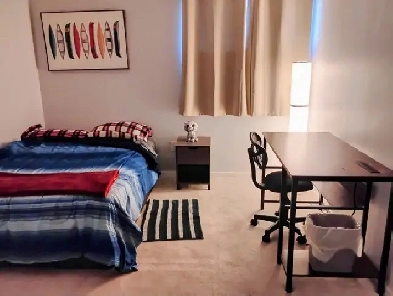 Looking for a housemate Image# 1