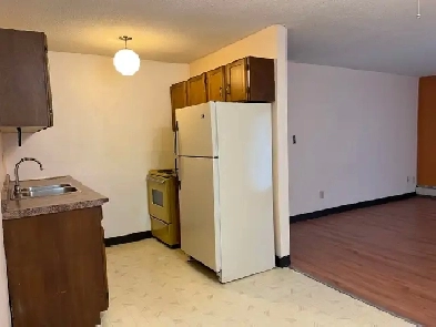 Lower mount royal 1 bedroom, lower full walkout unit$1140/m elec Image# 1