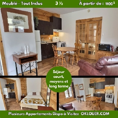 APPARTEMENT TOUT INCLUS-MEUBLÉ 1 CHAMBRE 3 1/2 A SAINT-ROCH Image# 1