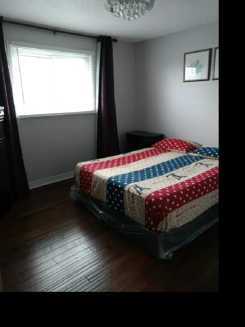 Master bedroom for rent- Main & Vodden - Brampton