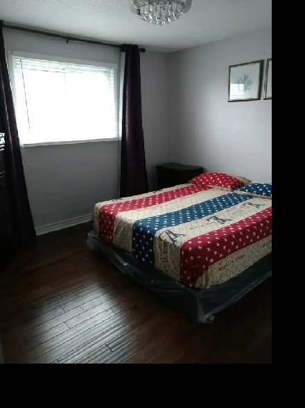Master bedroom for rent- Main & Vodden - Brampton