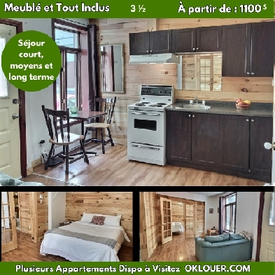APPARTEMENT 1 CHAMBRE 3 1/2  MEUBLÉ-TOUT INCLUS, CENTRE VILLE Image# 1