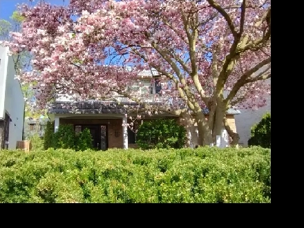 House for sale in Lawrence Park - Toronto -$500,000 starting Bid Image# 6