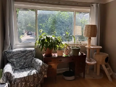 Room to rent House to share in the heart of Westboro Image# 1