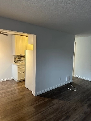 Large 2 BDRM in Old Strathcona! Renovated, Excellent Location!! Image# 1