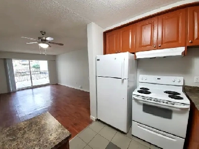 Bright 1 bedroom with Den Image# 1