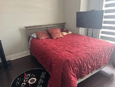 Luxury Room for Rent Image# 4