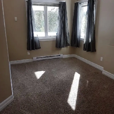 BASEMENT SUITE FOR RENT