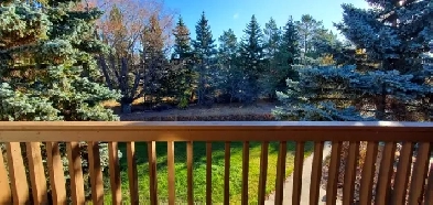 1 Bedroom Apartment for Rent, Battleford Image# 1