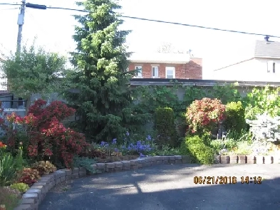 Perfect for student, professional! Short long rental!