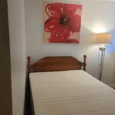 ALL INCLUSIVE ROOM FOR RENT near Algonquin College- Immediately Image# 1