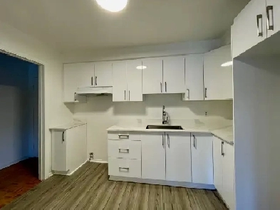 Appartement 4 1/2 rénové à louer à Saint-Bruno Image# 1