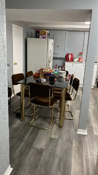 ONE BEDROOM Basement Apartment Image# 1