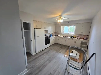 Spacious Renovated 2 bedroom Apartment - Haist Street Fonthill Image# 1