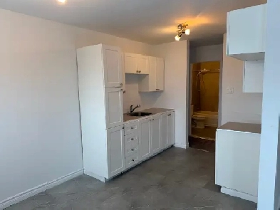 MAGNIFIQUE 5 1/2  RÉNOVÉ - LIBRE 15 MARS Image# 1