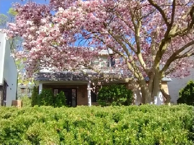 House for sale in Lawrence Park - Which We own on Leased Land Image# 3