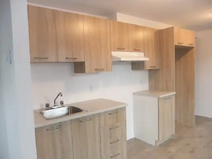 3 1/2    A    LOUER  POUR LE 1ER JUILLET