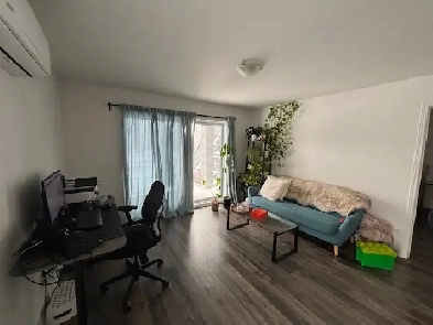 Logement à louer, une chambre - One bed apartment rent - Aylmer Image# 1