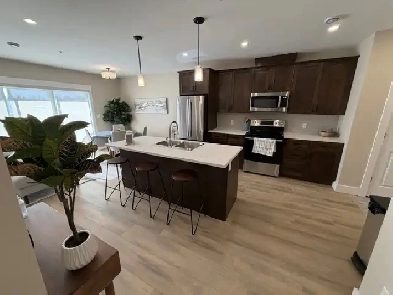 Gorgeous, Brand New, Concrete Units! Gym & Underground Parking! Image# 1