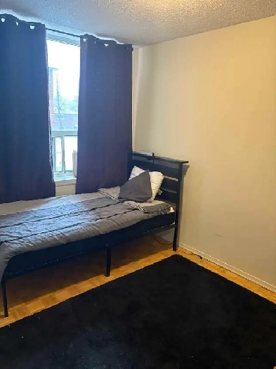 Room For Rent Image# 1