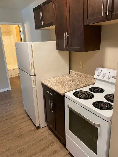 131 River Ave close to The Forks Image# 1