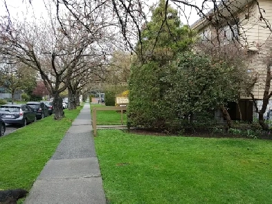 Spacious One Bed near Marpole Loop Available