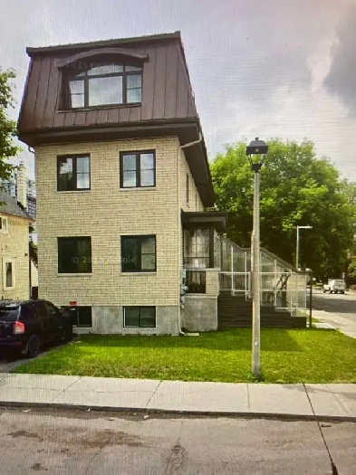 Nice and new apartment for rent in downtown Ottawa Image# 1