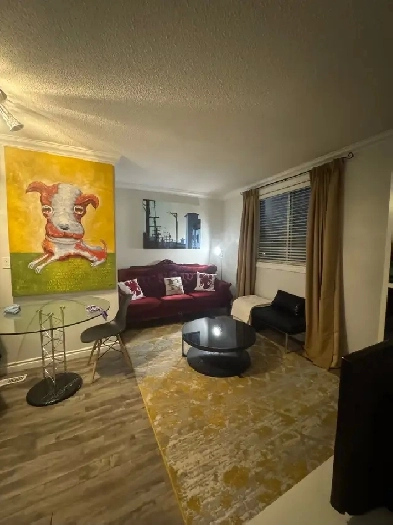 CHIC, CLASSY, FULLY-FURNISHED, ONE-BEDROOM FLAT IN CENTRAL YEG Image# 3