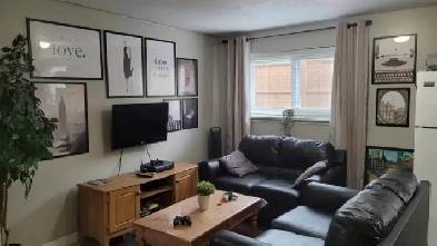 SHORT WALK TO CONESTOGA COLLEGE -STUDENT ROOMS FOR RENT Image# 1