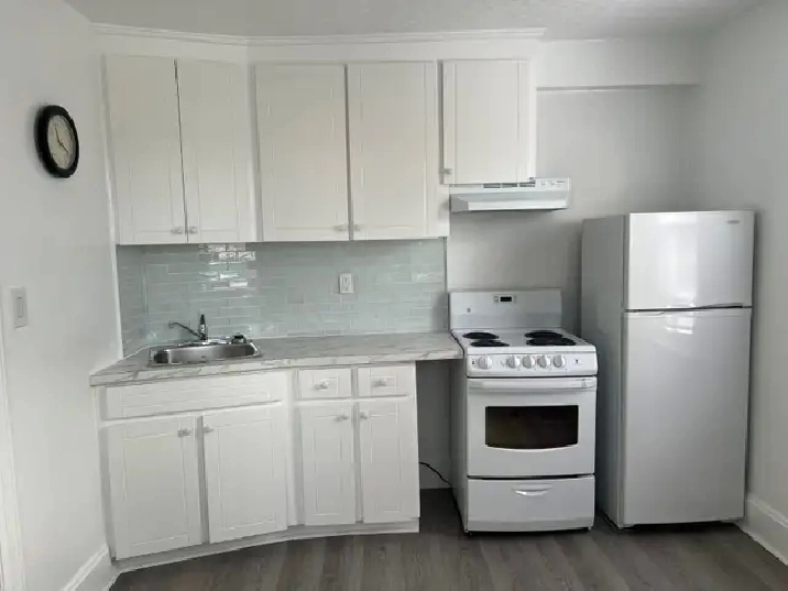 Bright, Fully Furnished Bachelor Apt for Rent