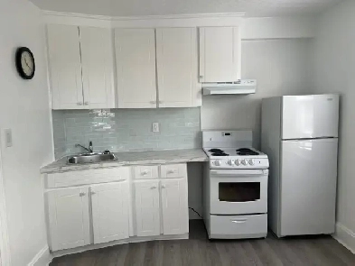 Bright, Fully Furnished Bachelor Apt for Rent Image# 10