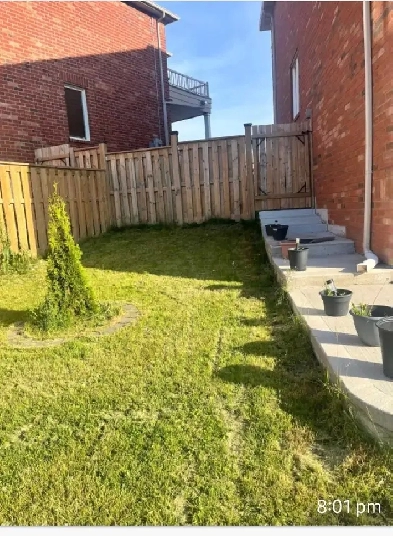 BACHELOR/STUDIO APPARTMENT FOR RENT IN BRAMPTON