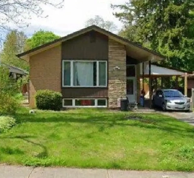 Summer special for Female rental