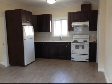 2 bed 1 bath coach house suite  Richmond BC