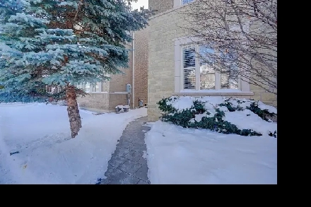 Newly Built 1-Bedroom Walk-Up Basement Unit in Oak Ridges Image# 1